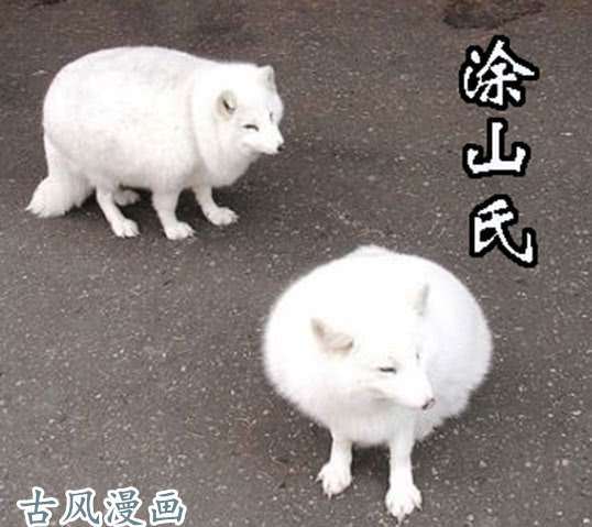 铁姬钢兵友好问候