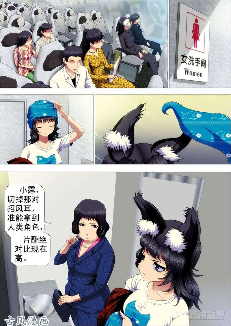 铁姬钢兵友好问候