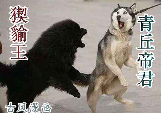 铁姬钢兵磨练演技