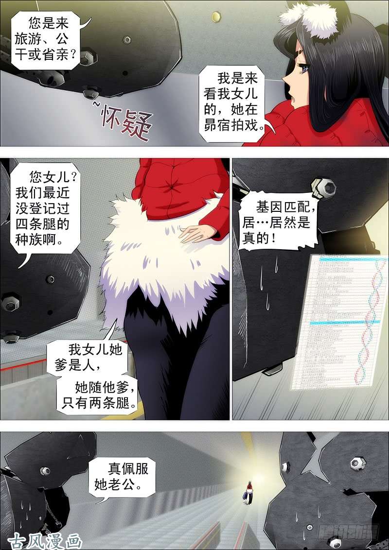铁姬钢兵王者孤独