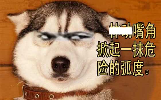 铁姬钢兵索命也要讲道理