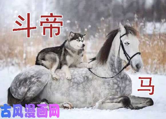 铁姬钢兵你不是我的学生该多好