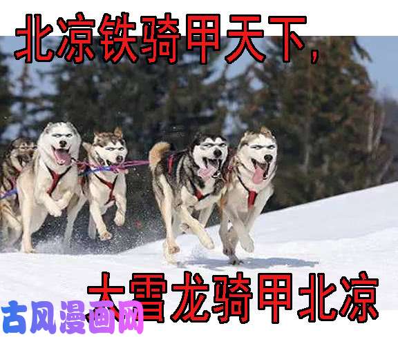 铁姬钢兵空间真身