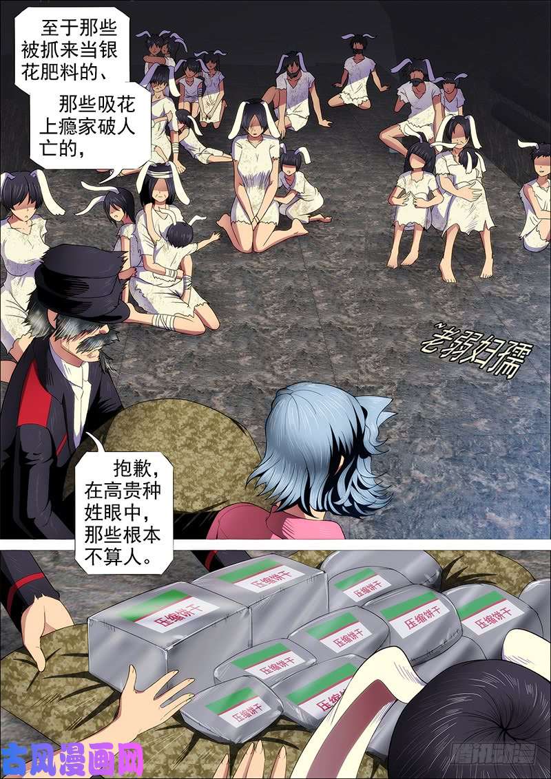 铁姬钢兵恶龙已死，唯我最强