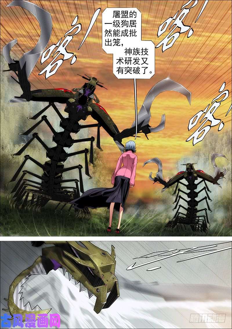 铁姬钢兵野战连炊事班