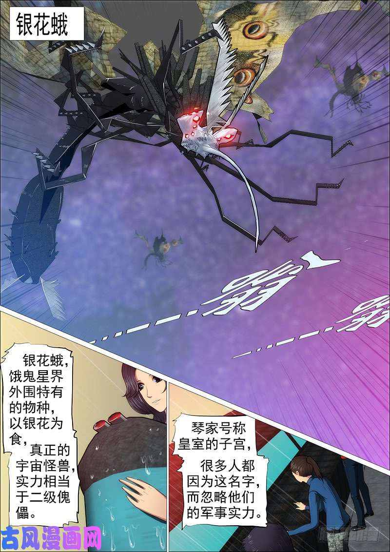 铁姬钢兵我为何爱定远？