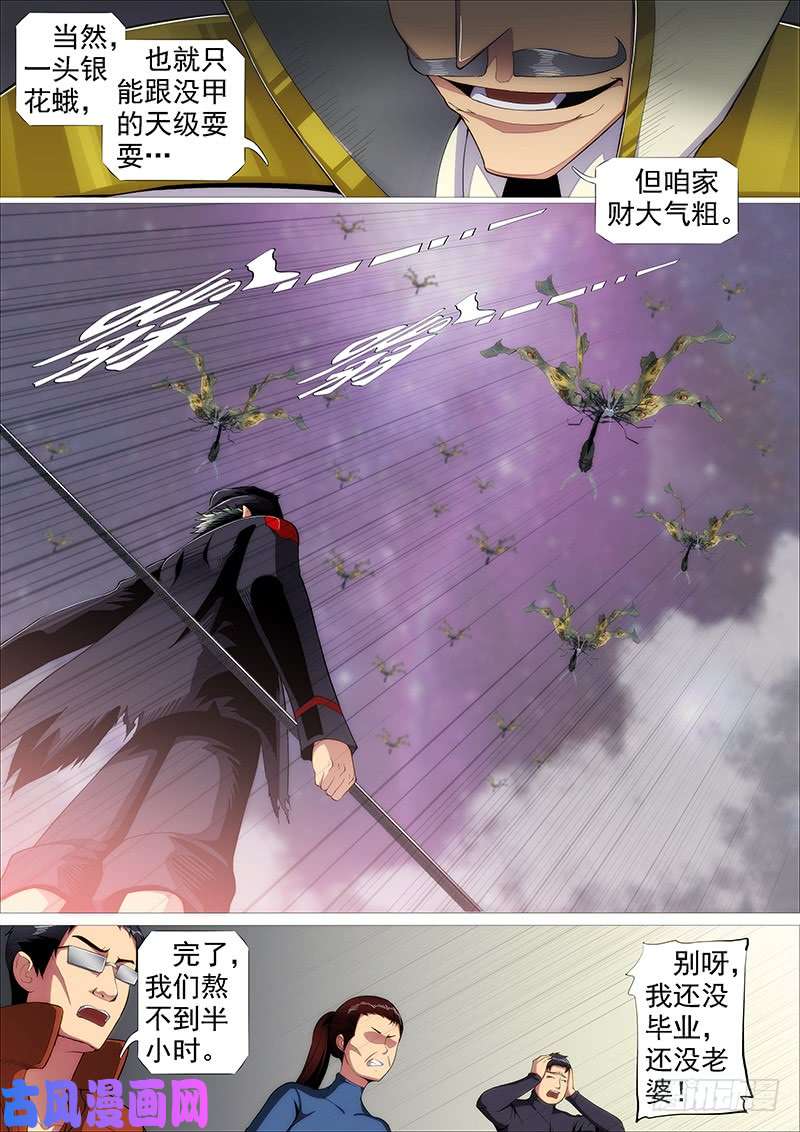 铁姬钢兵我为何爱定远？