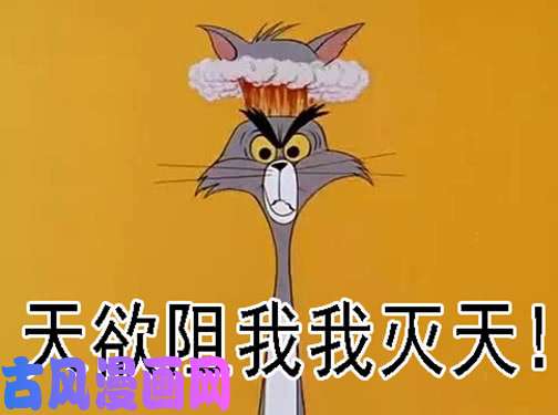 铁姬钢兵社会神