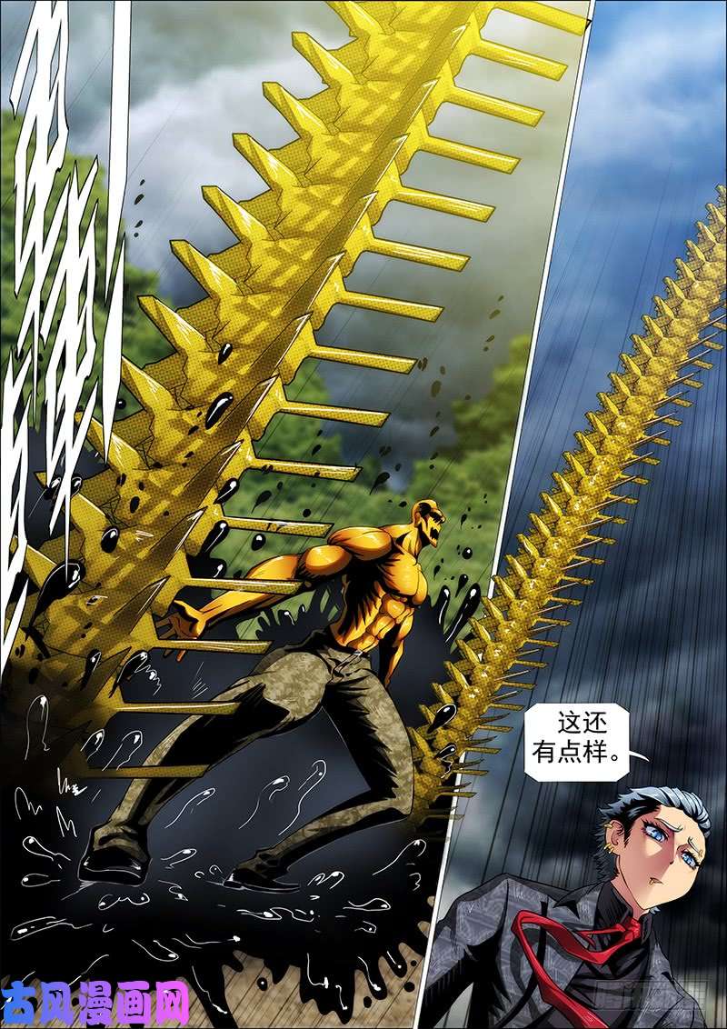 铁姬钢兵社会神