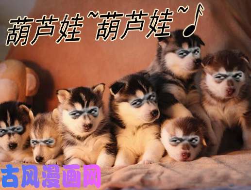 铁姬钢兵葫芦娃也没我多