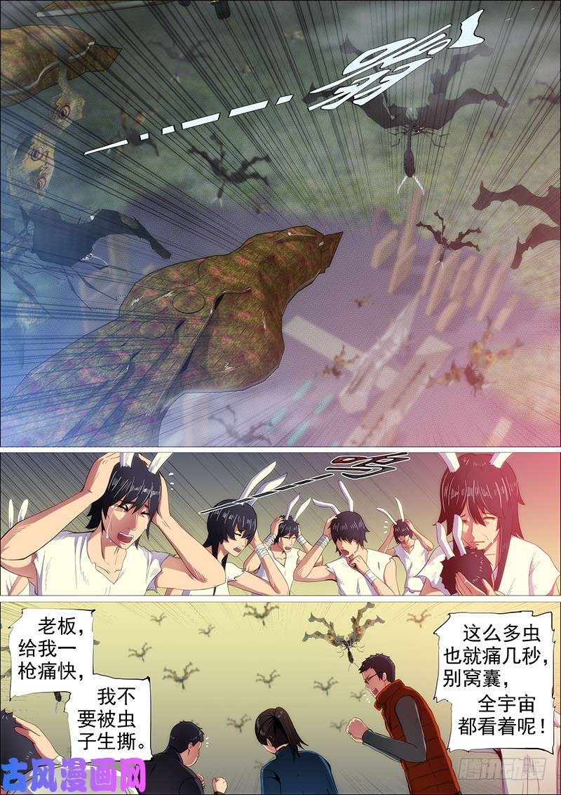 铁姬钢兵葫芦娃也没我多