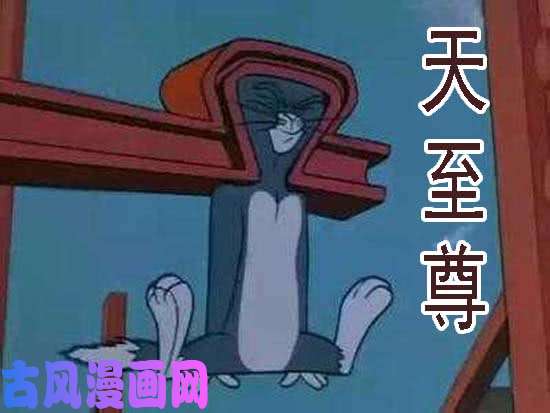 铁姬钢兵近战法师