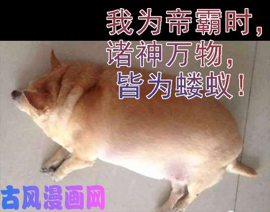 铁姬钢兵慕干爹有良心吗？