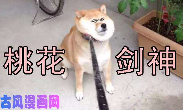 铁姬钢兵躺着中枪