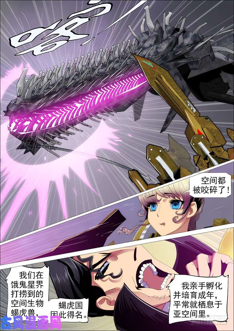 铁姬钢兵神仙英语