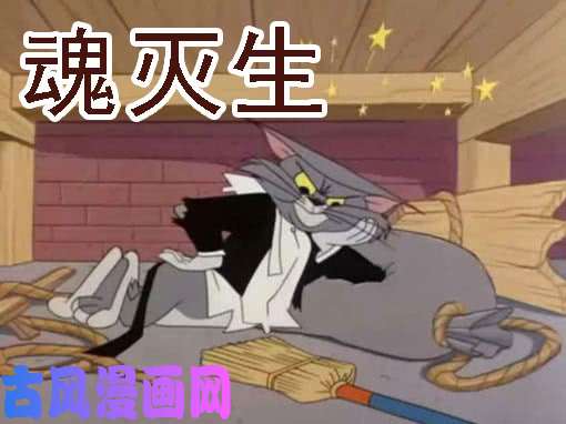 铁姬钢兵你有理想吗？