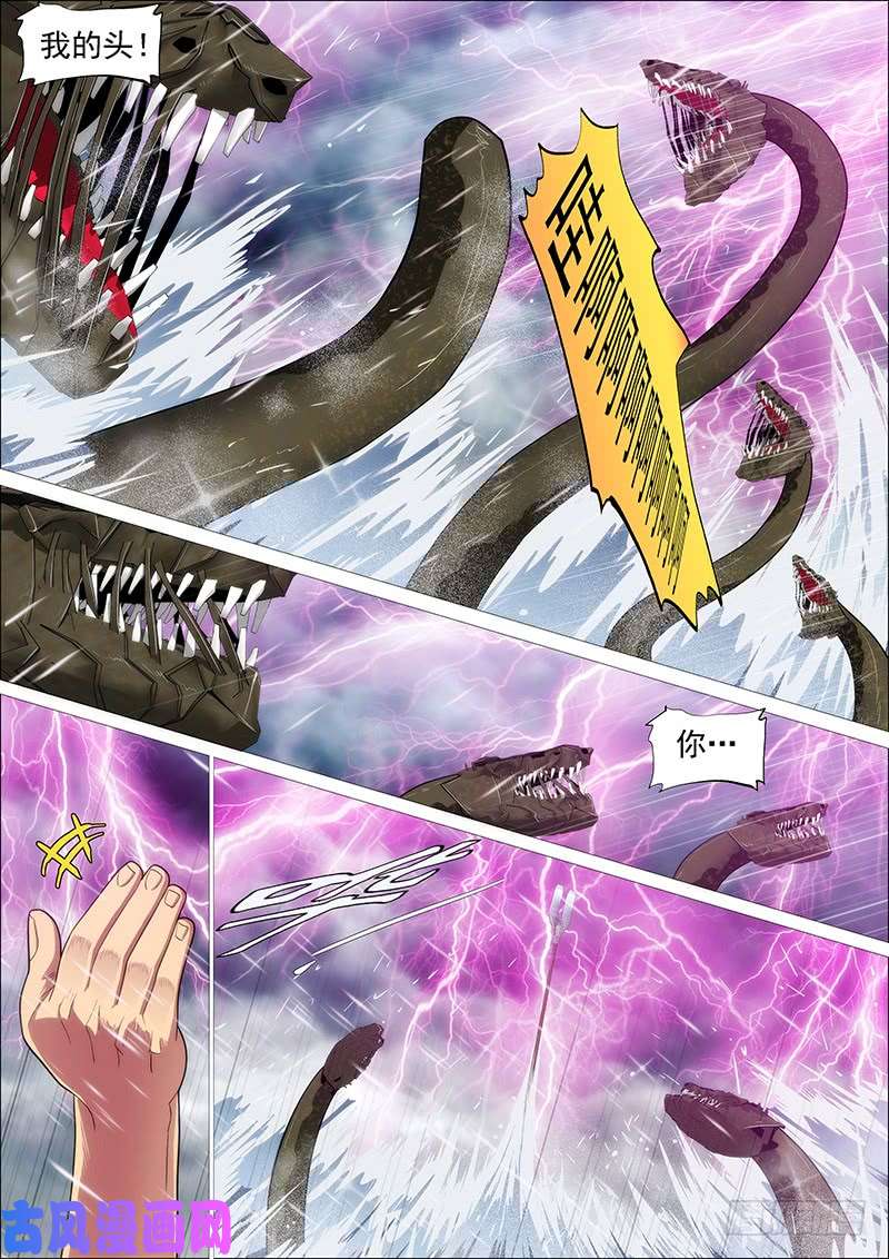 铁姬钢兵家主遗孀