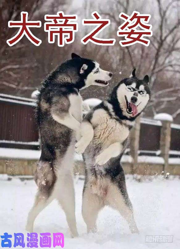 铁姬钢兵恶龙密谋