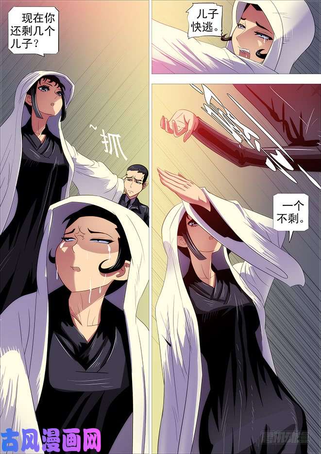 铁姬钢兵极道之妻