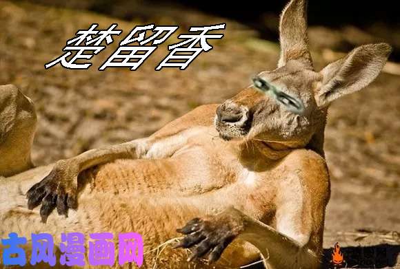 铁姬钢兵铁头娃升级版