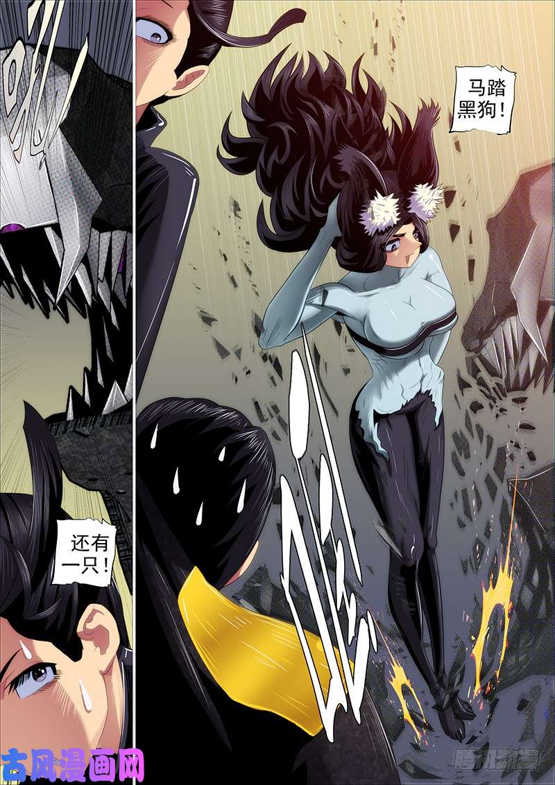 铁姬钢兵新家主