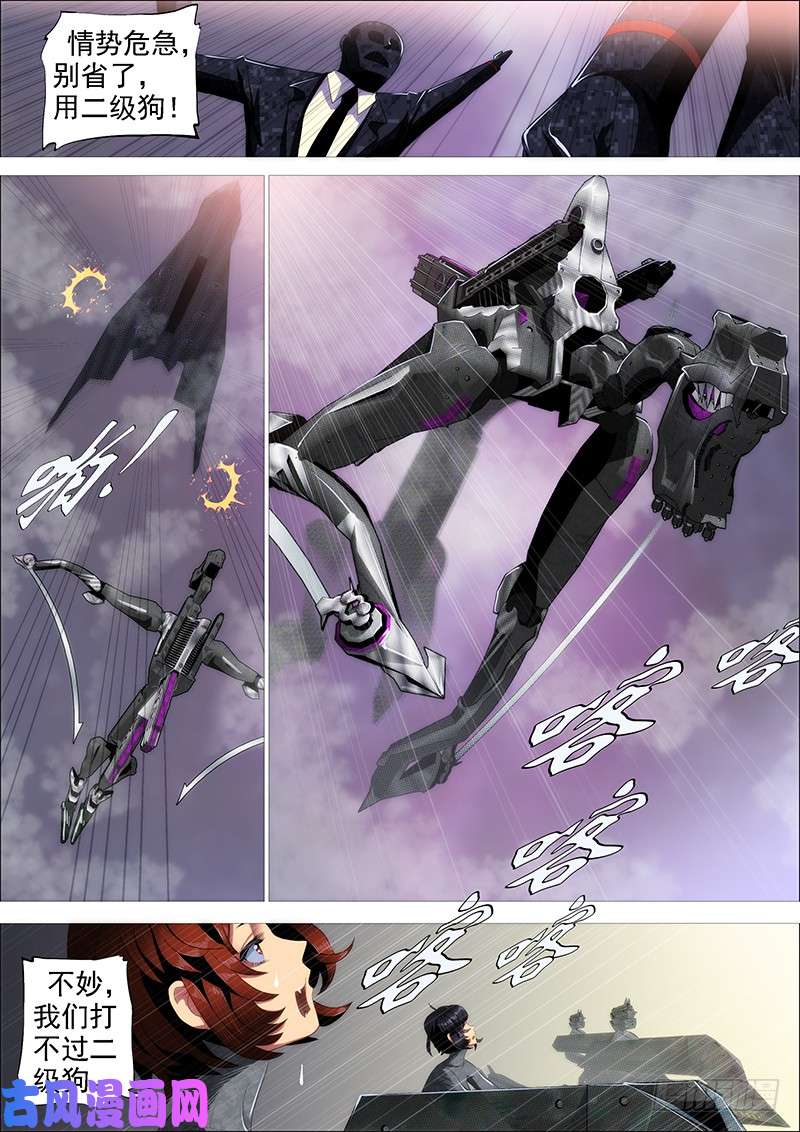 铁姬钢兵新家主