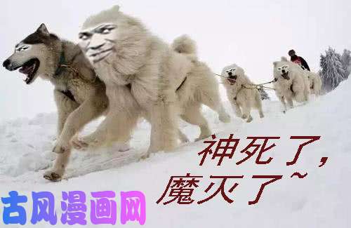 铁姬钢兵熊姐潜力多深？