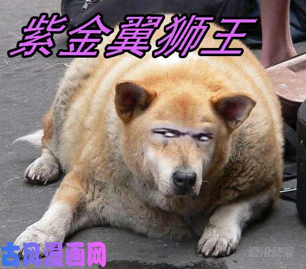 铁姬钢兵不该出手不出手