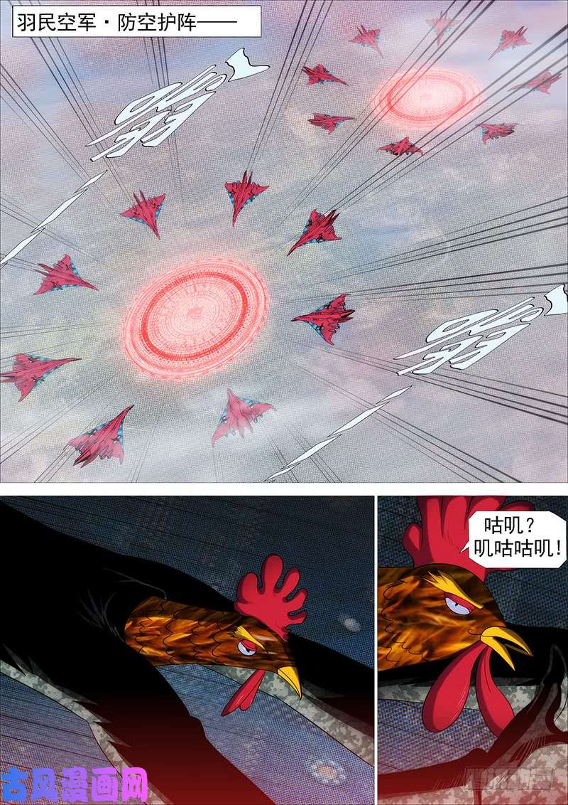 铁姬钢兵联合比武