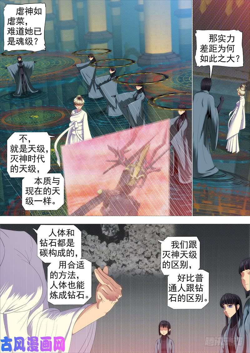 铁姬钢兵专业超度畜生