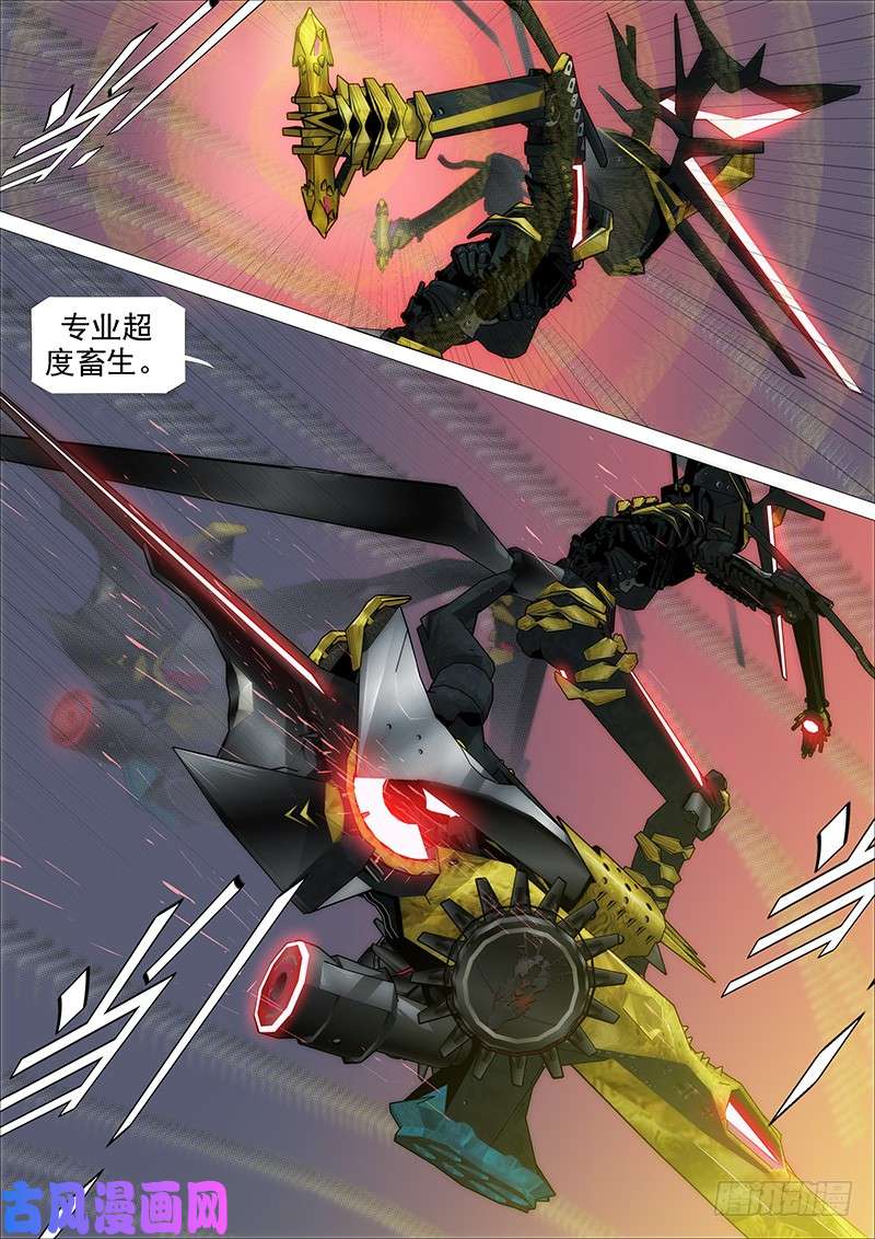 铁姬钢兵专业超度畜生