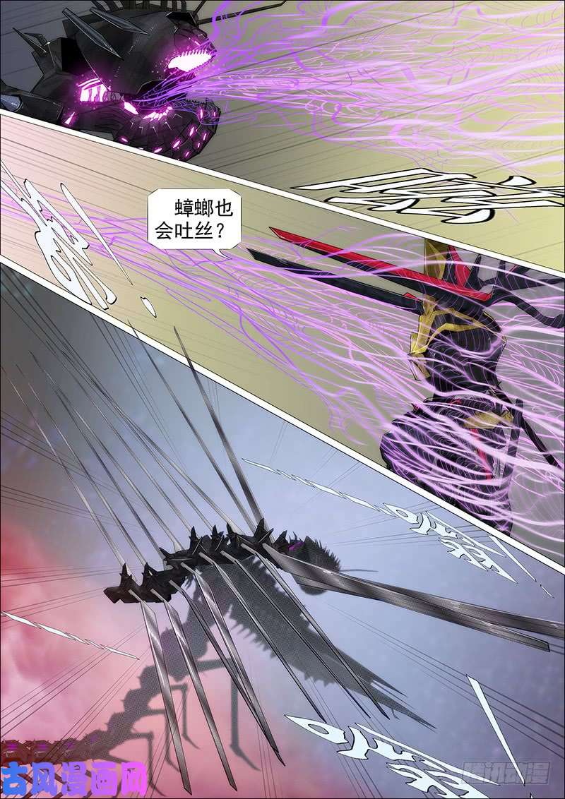 铁姬钢兵专业超度畜生