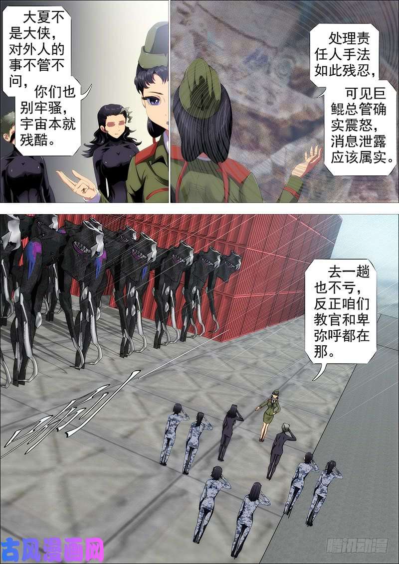 铁姬钢兵野蛮强大