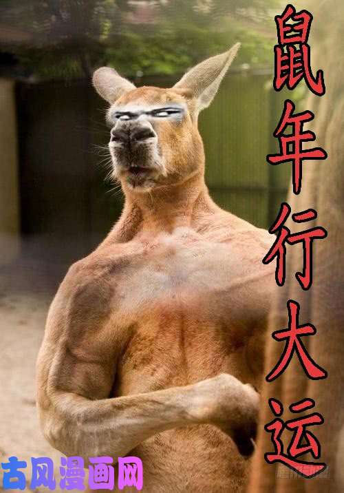 铁姬钢兵新年公告