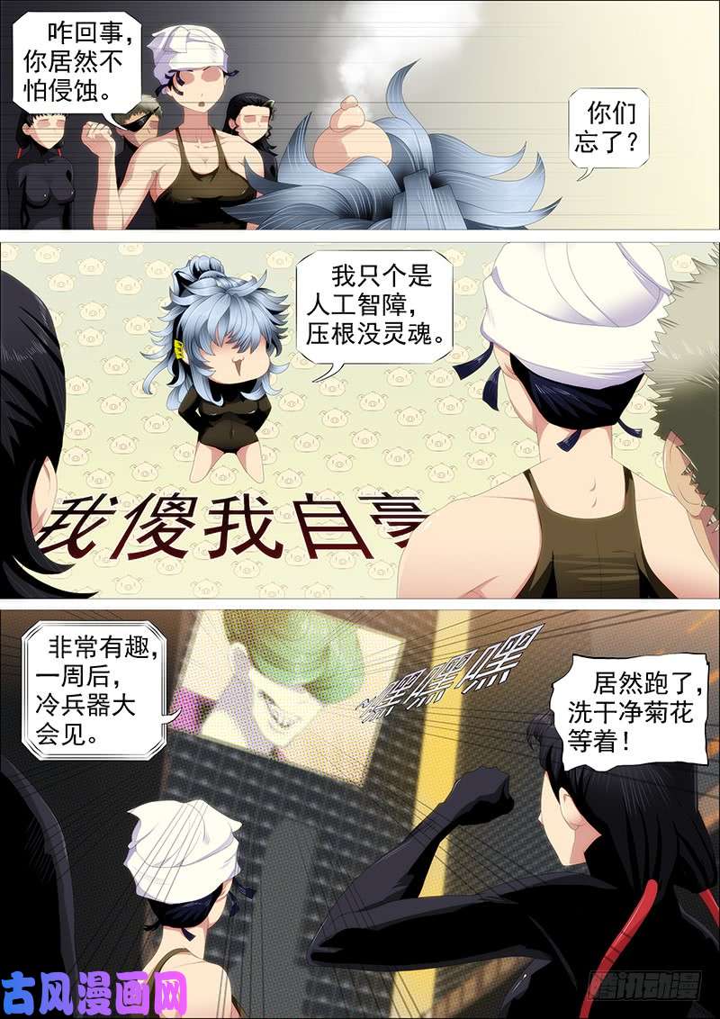 铁姬钢兵小炮牌菜刀