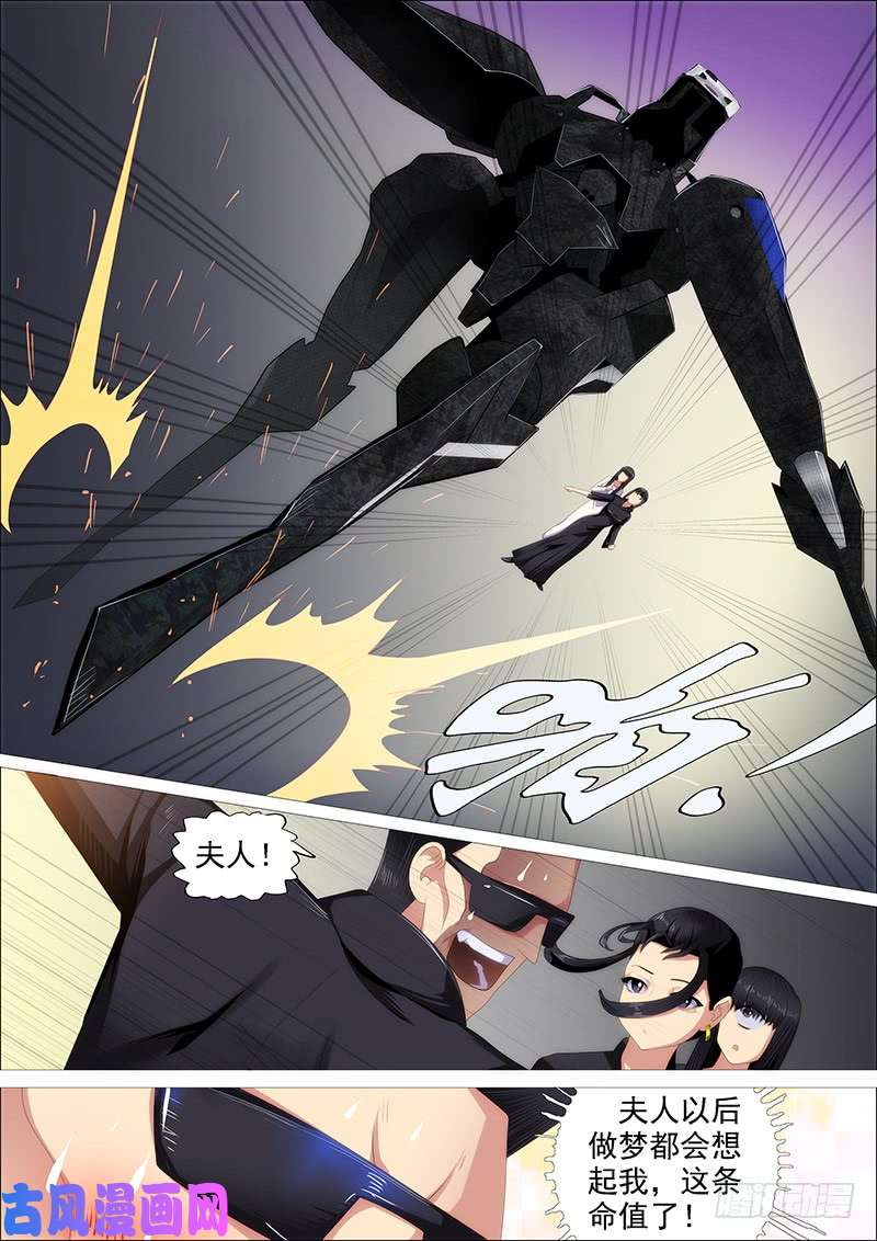 铁姬钢兵最弱天级