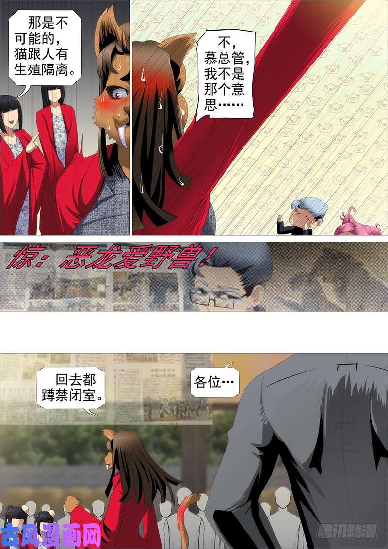 铁姬钢兵群芳护恶龙