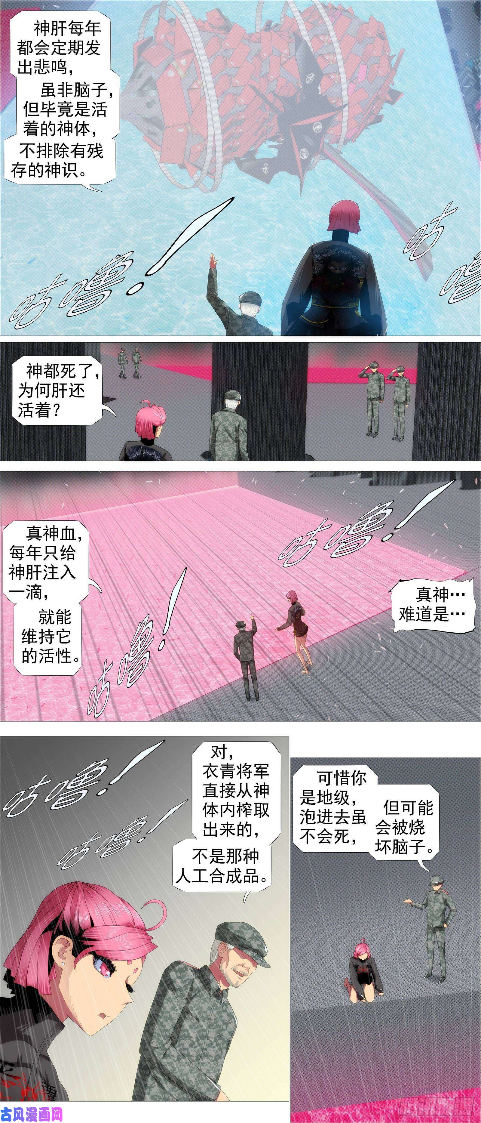 铁姬钢兵天级胚胎