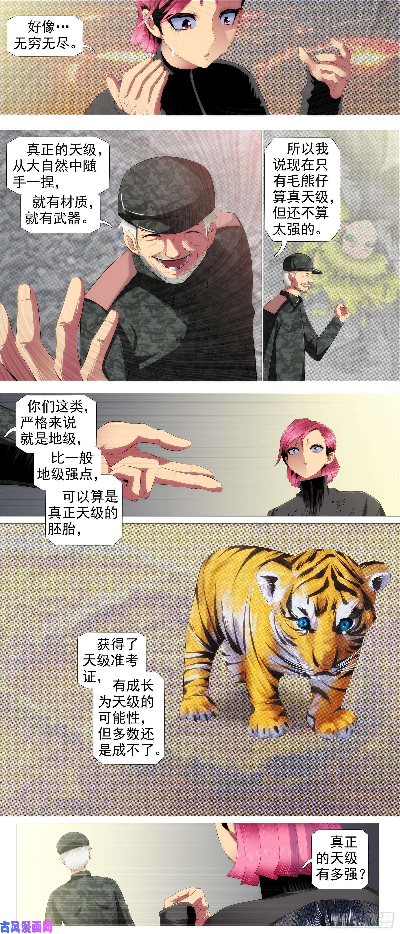 铁姬钢兵天级胚胎