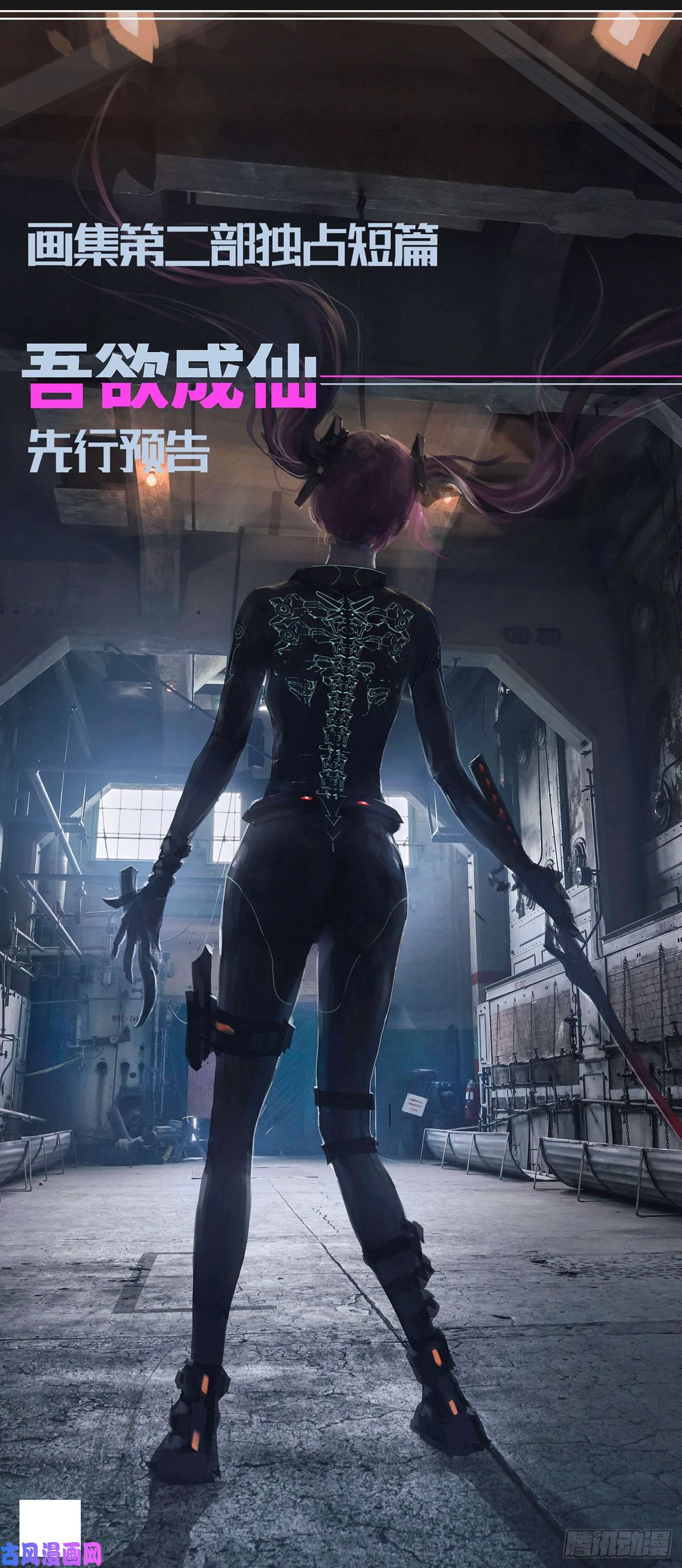 铁姬钢兵12月11号开店