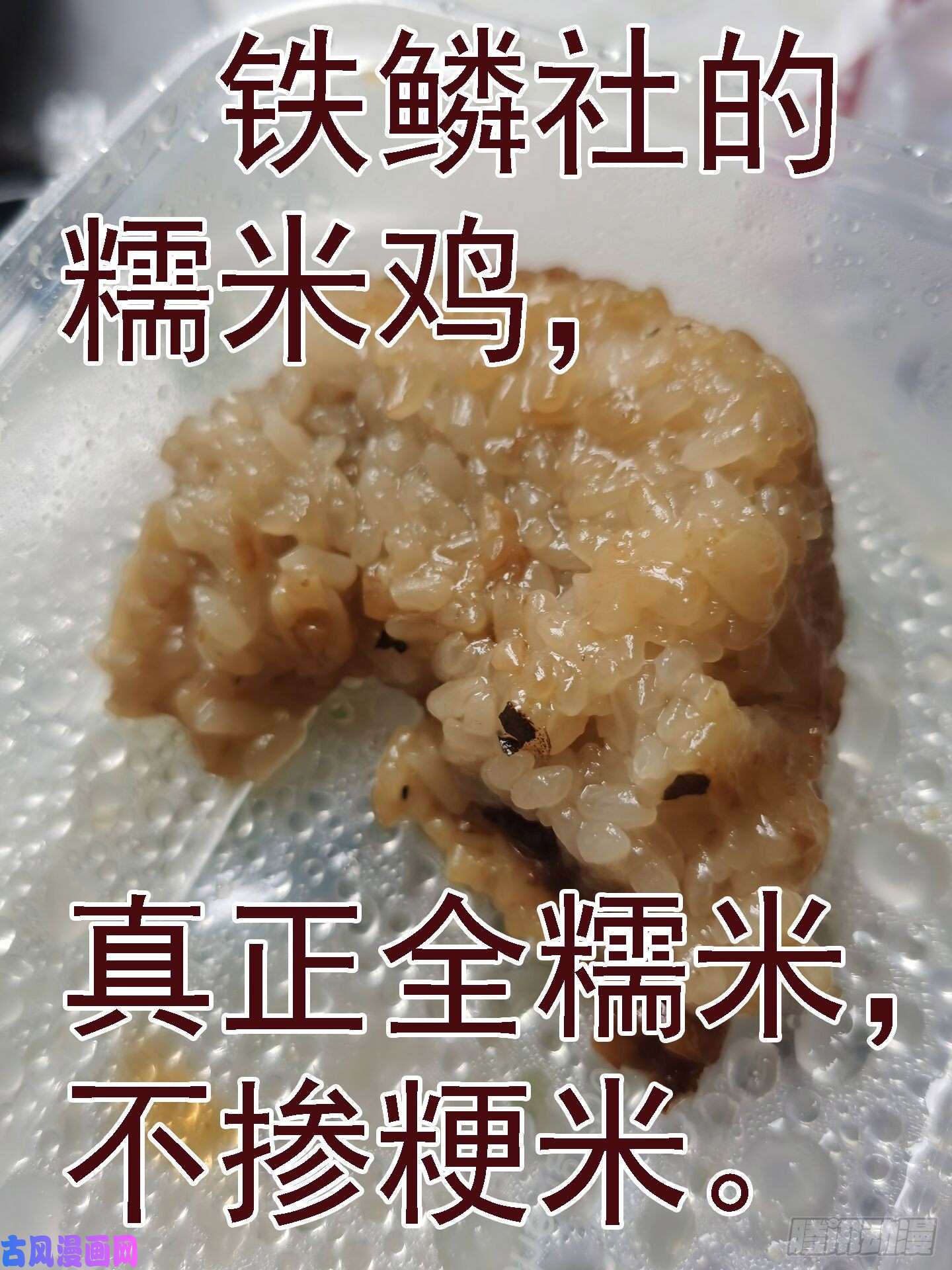 铁姬钢兵都市大战