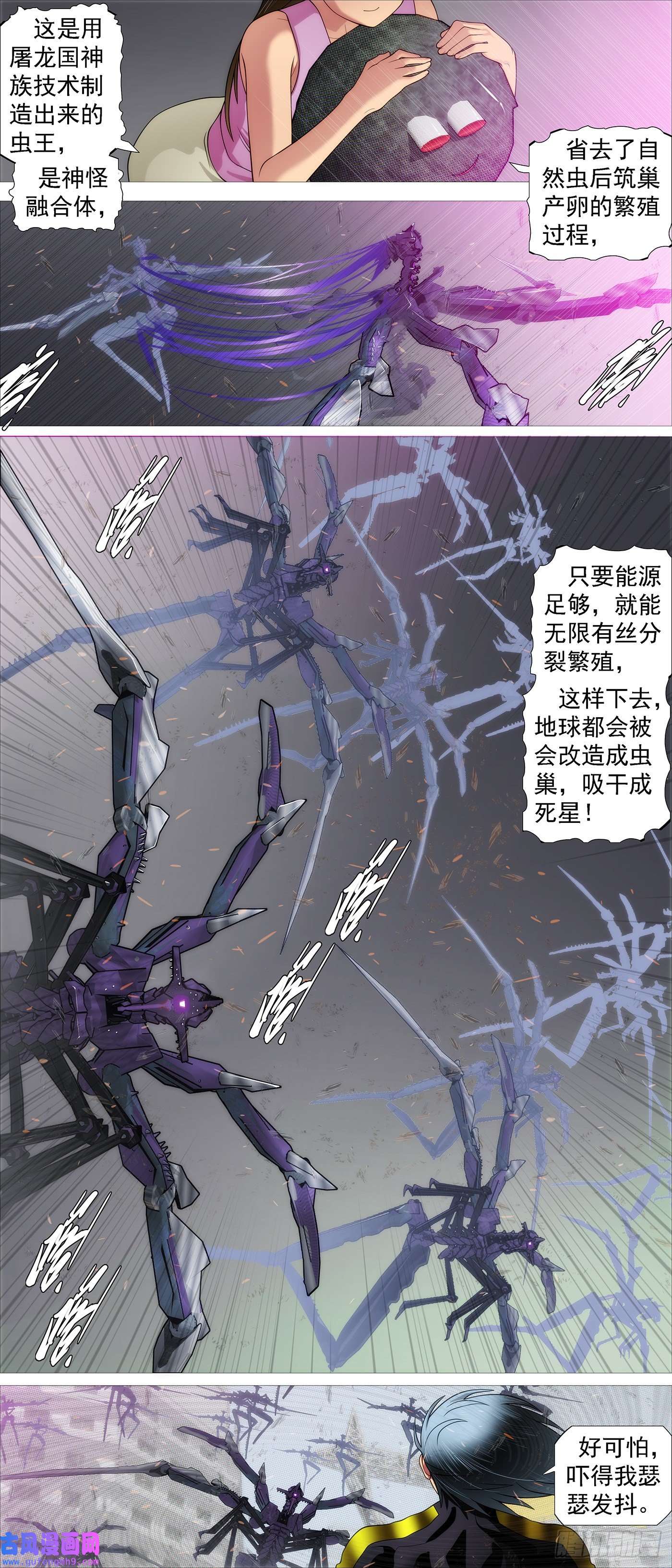 铁姬钢兵红鳞快递