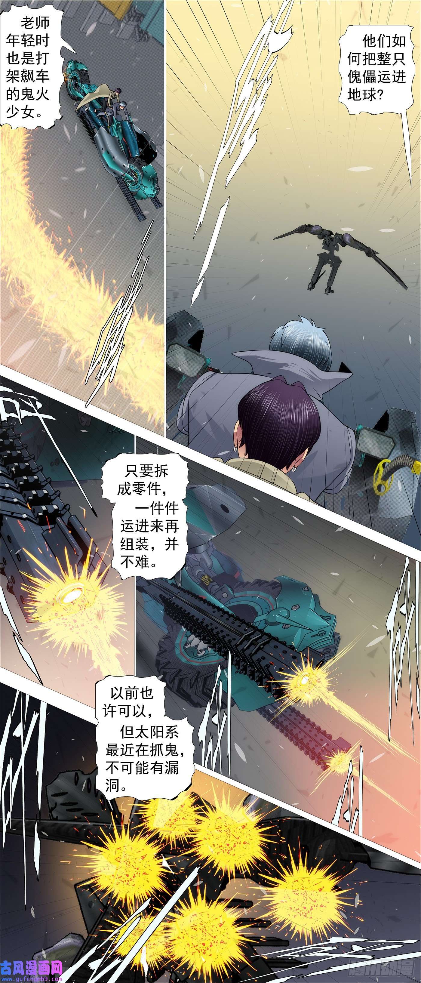 铁姬钢兵你的邻家女孩