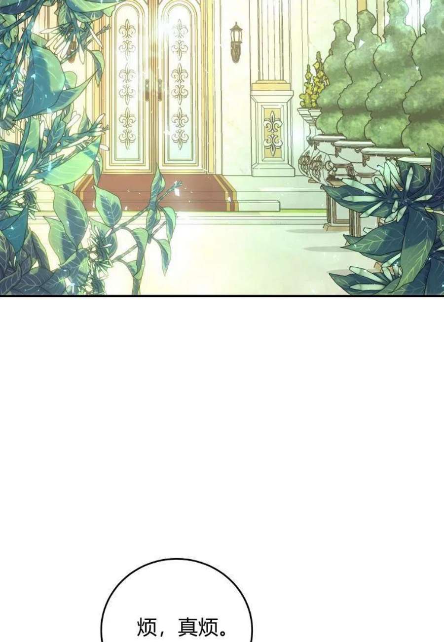 皇女，一朵疯狂绽放的花06话
