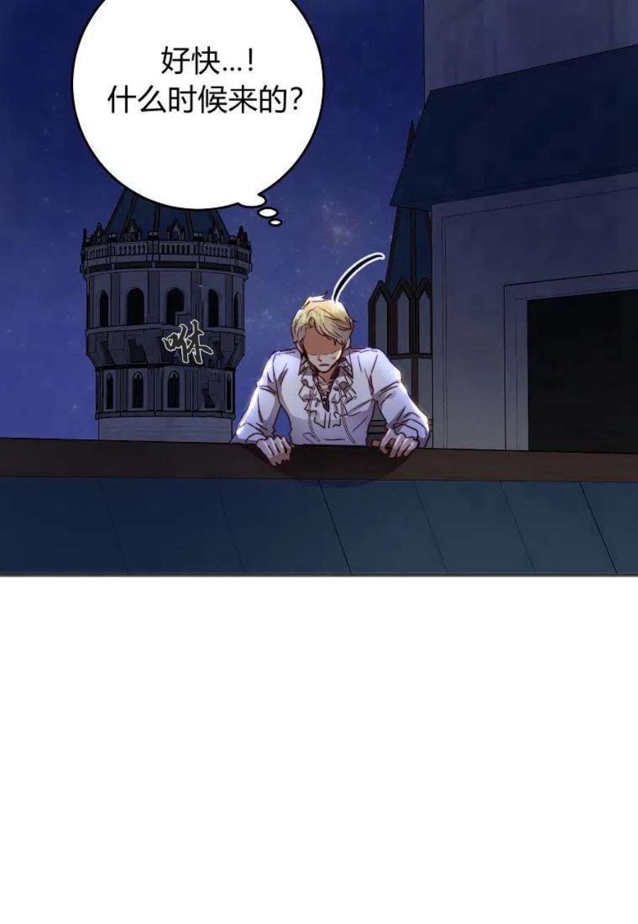 皇女，一朵疯狂绽放的花07话