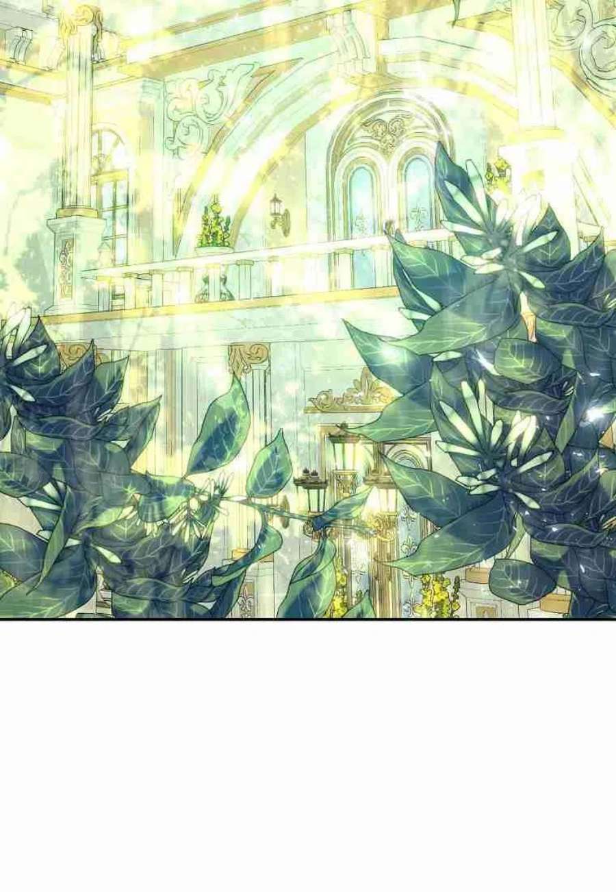 皇女，一朵疯狂绽放的花11话