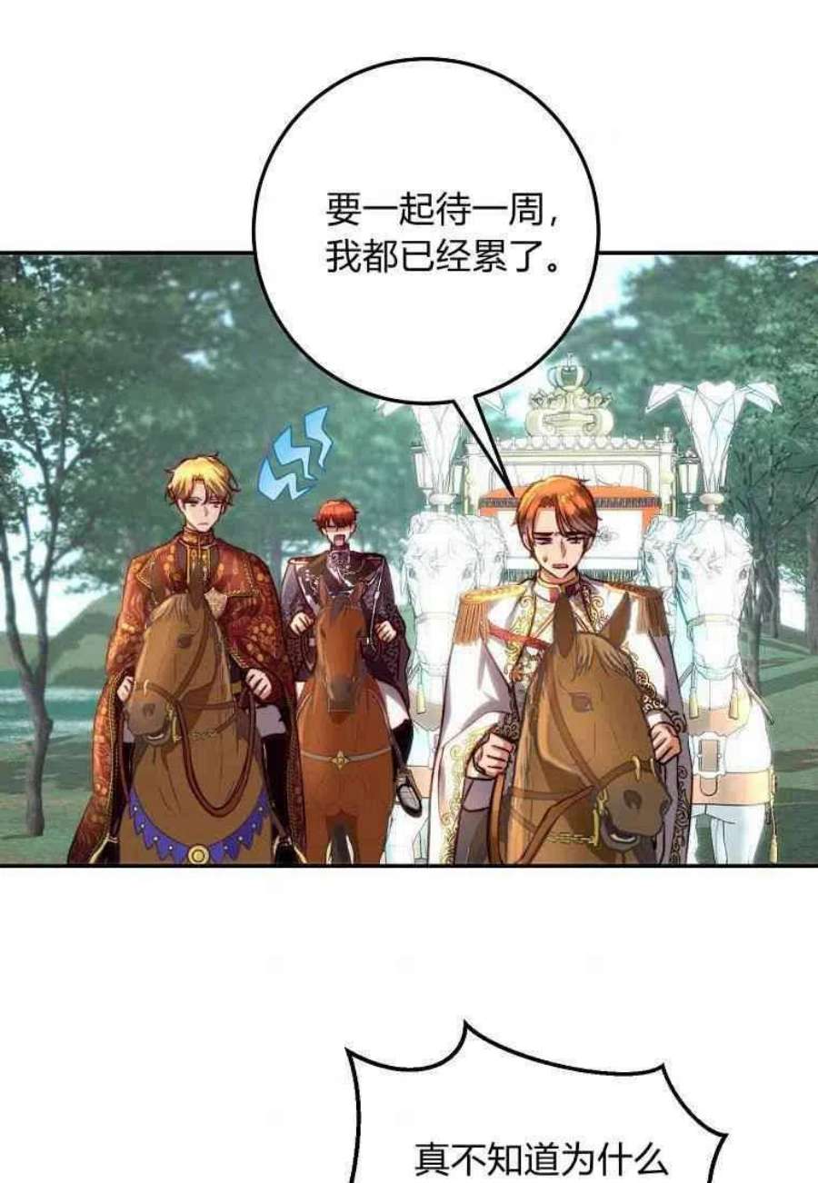皇女，一朵疯狂绽放的花18话