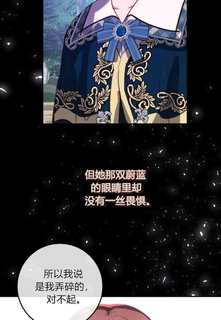 皇女，一朵疯狂绽放的花20话