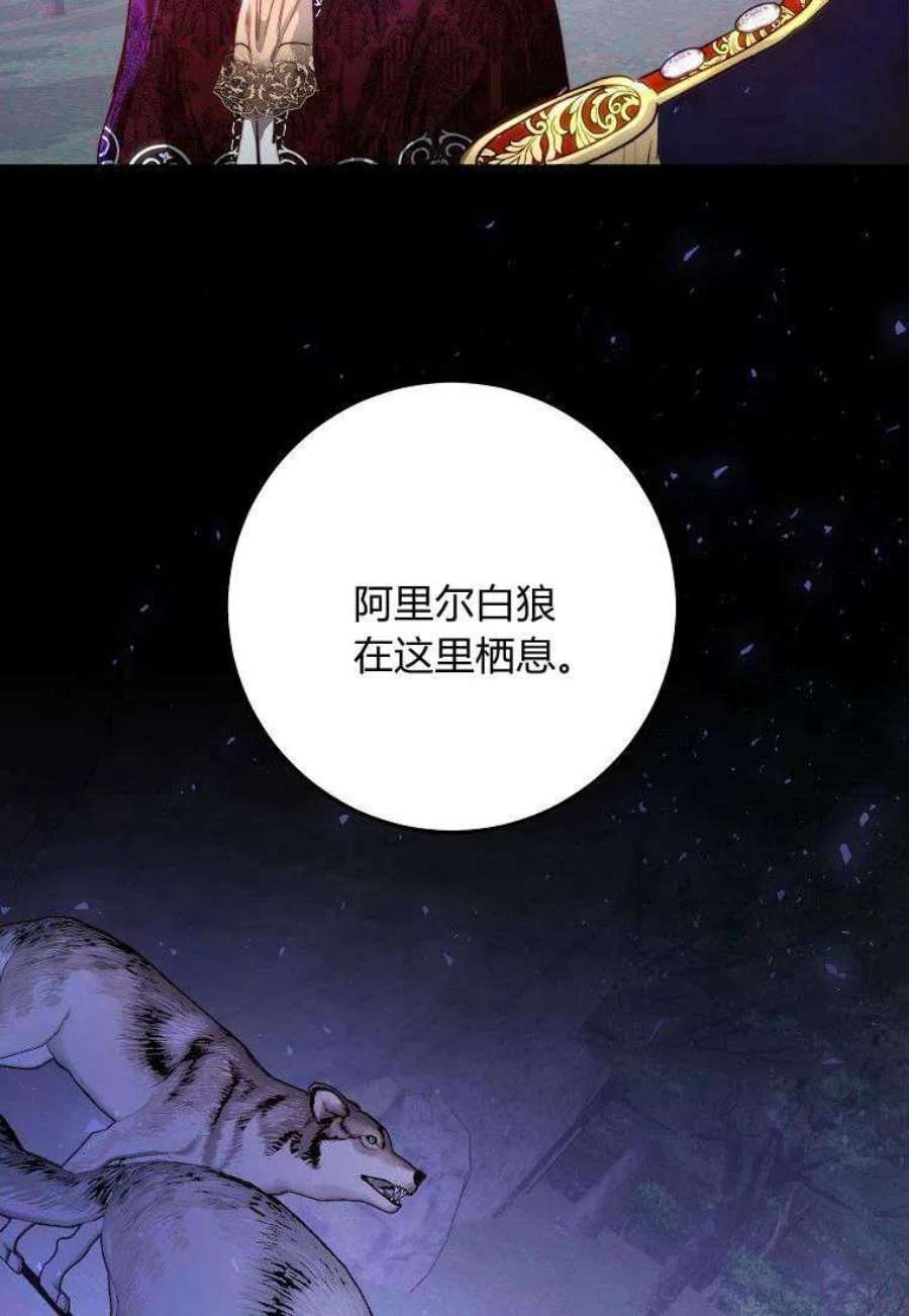皇女，一朵疯狂绽放的花21话