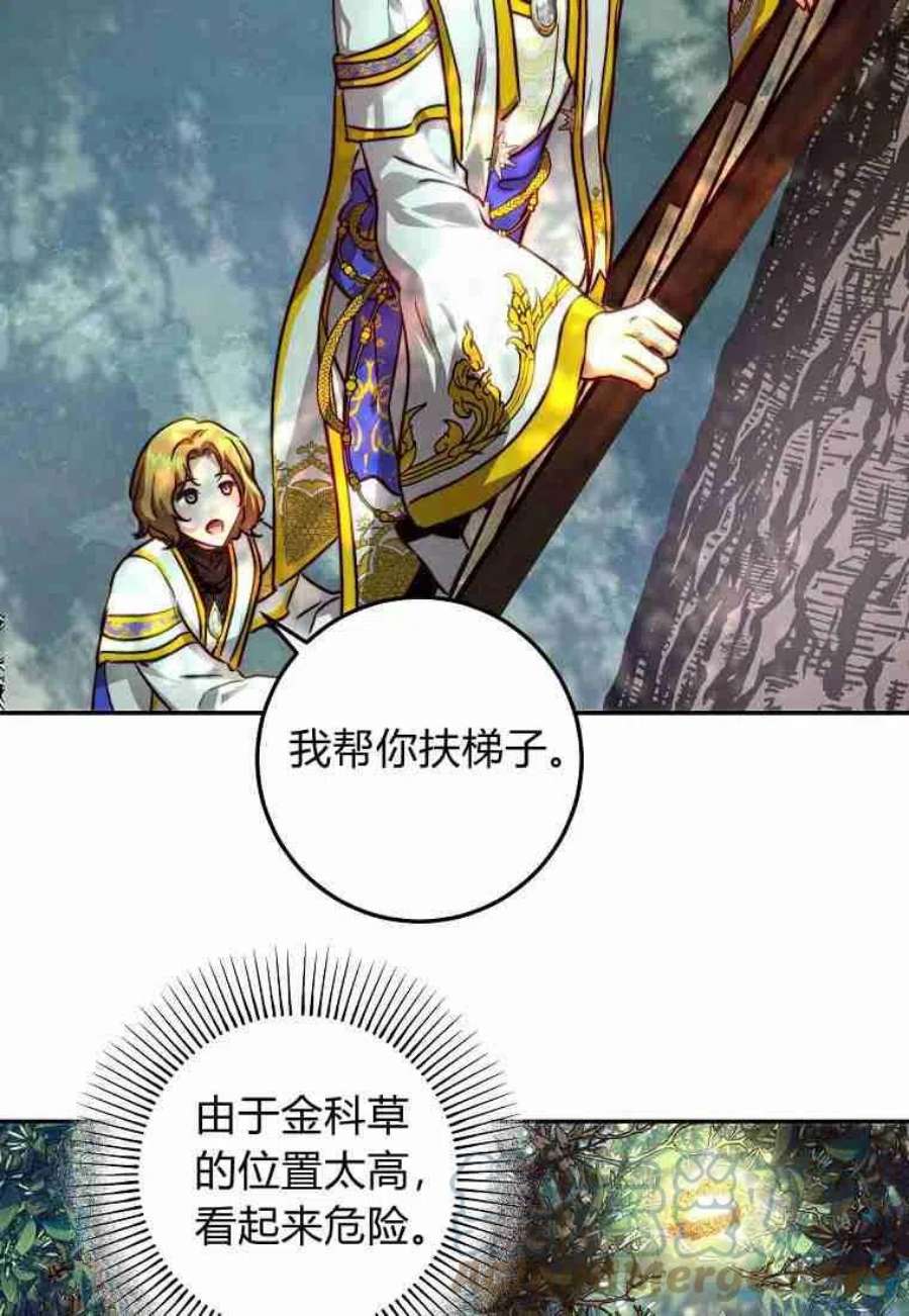 皇女，一朵疯狂绽放的花22话